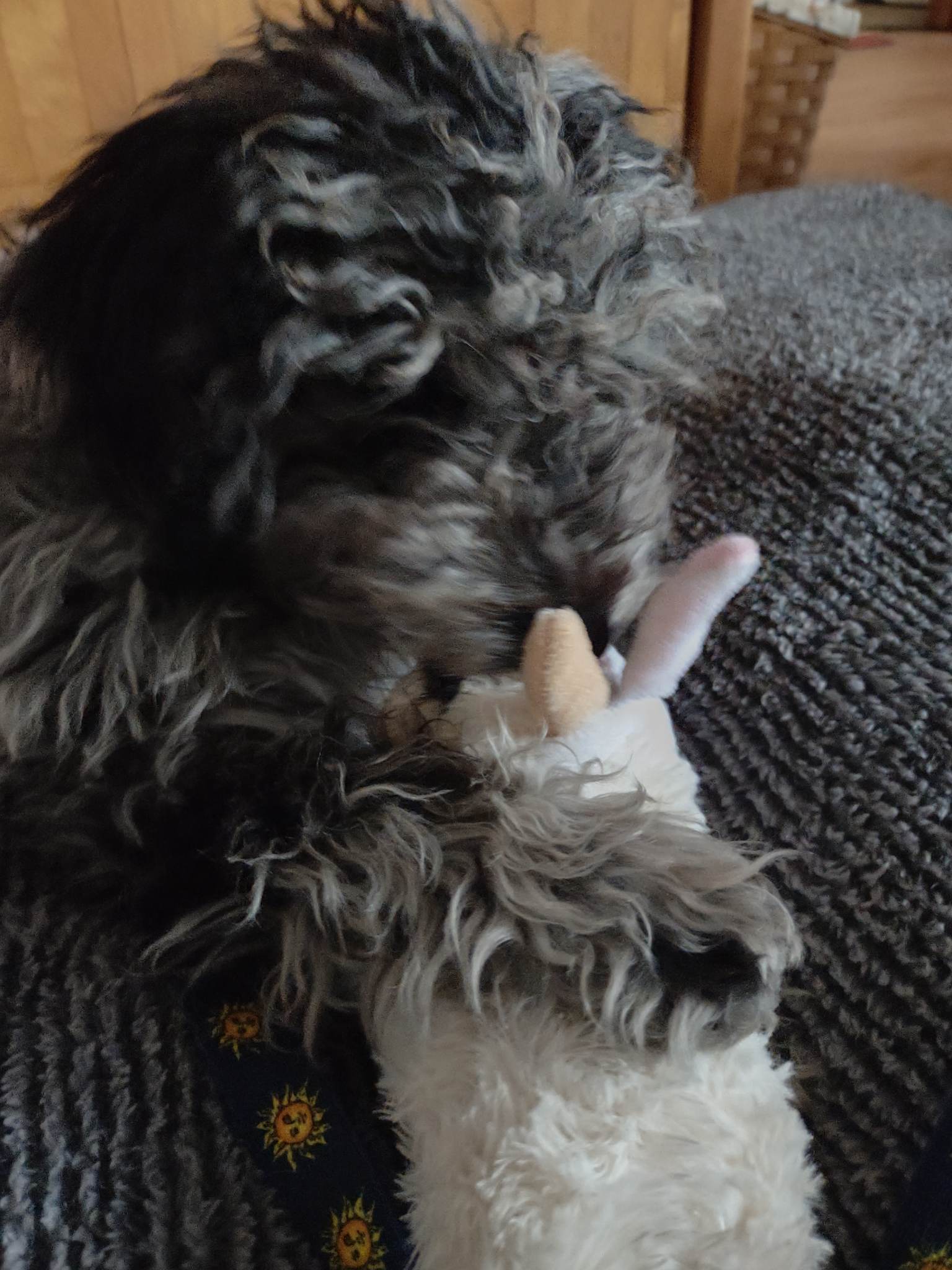 a puppy and his lamb toy