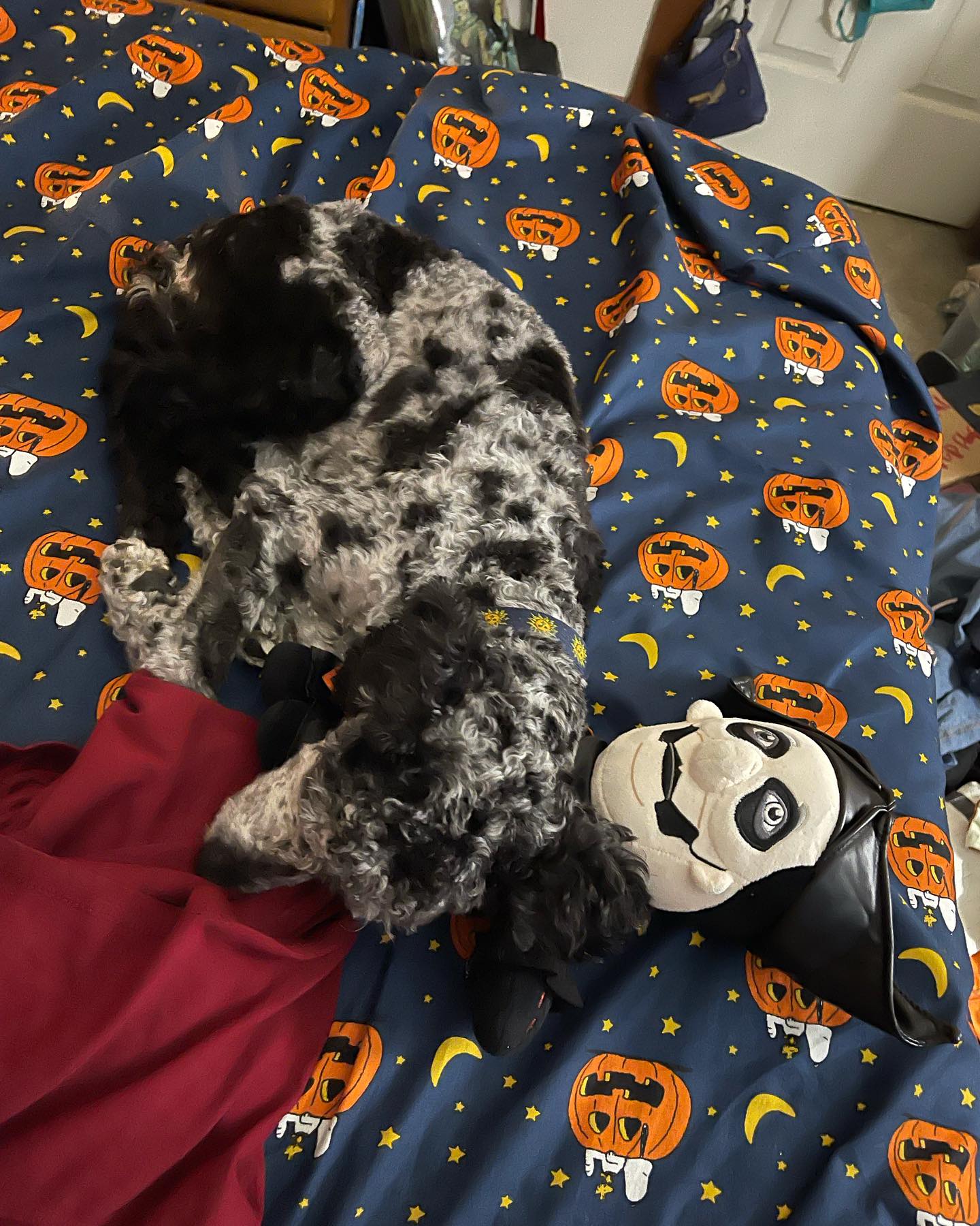 dog snuggling the Ghost plushie